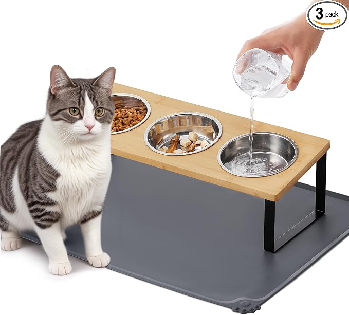 elevated cat bowls 3 dishes
