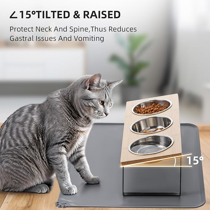 elevated cat bowls 3 dishes