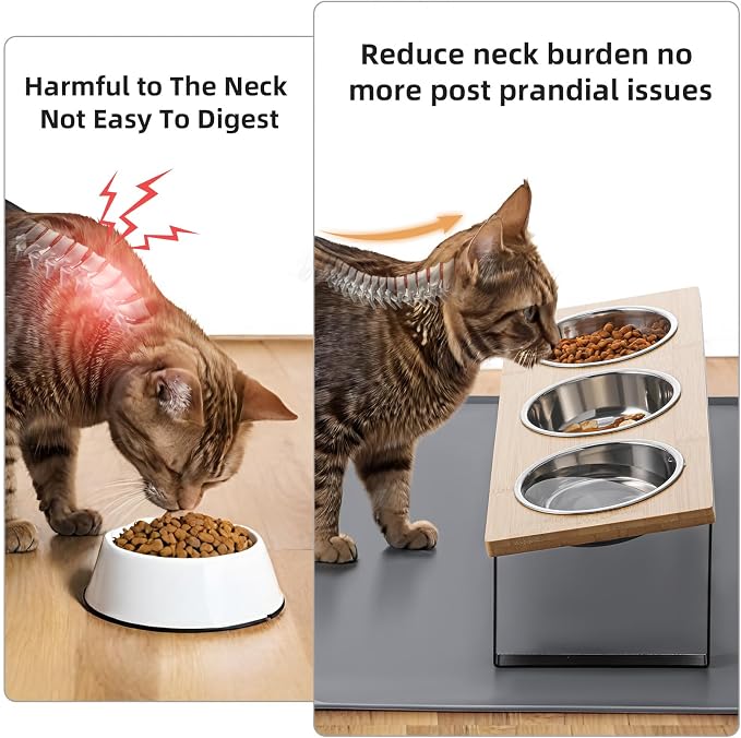 elevated cat bowls 3 dishes