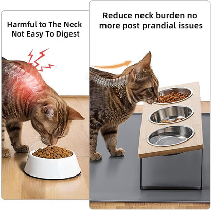 elevated cat bowls 3 dishes